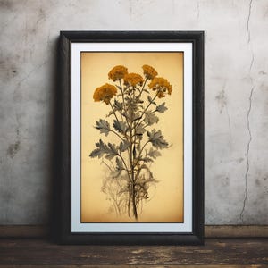 Flores vintage amarillas, ilustración botánica, decoración de pared retro para tu hogar. Gran idea para regalo. Excelente calidad de impresión. N.° 119