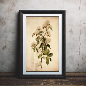 White Vintage Blooms, Classic Botanical Illustration, Retro Wall Decor for your home Great gift idea, Great print quality #125
