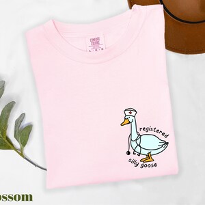 A pink t-shirt with a cartoon image of a nurse goose and the text "registered silly goose" printed on it, along with a brown hat and some greenery.