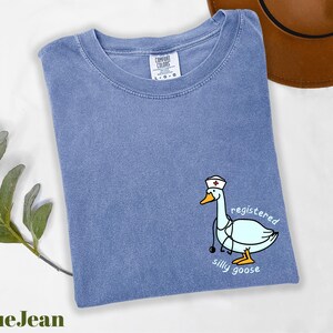 A blue t-shirt with a cartoon image of a duck wearing a nurse's hat and the text "registered silly goose" printed on it, along with a brown hat and some greenery.