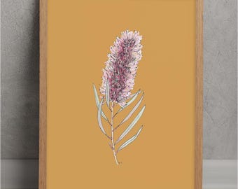 Bottlebrush on Mustard - Native Australian Printable Wall Art - Hand Painted - Digital Download