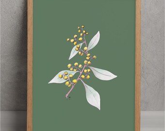 Wattle on Teal - Native Australian Printable Wall Art - Hand Painted - Digital Download