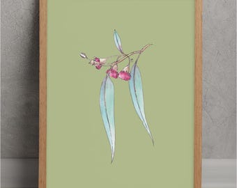 Gum on Sage - Native Australian Printable Wall Art - Hand Painted - Digital Download