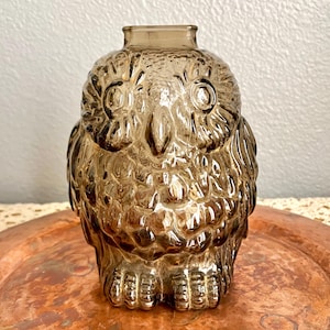 Vintage Glass Owl Bank, Wise Old Owl, Sculptural, Mid Century Home Decor