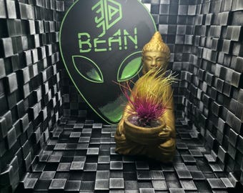 Budda Air Plant Pot