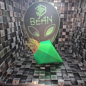 May include: A bright green, geometric-shaped planter with a bundle of colorful, dried plant material. The planter is set against a backdrop featuring a black and green alien head with the text "3D BEAN". The background has a textured, checkered pattern.