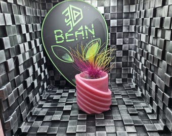 Abstract Air Plant Pot with Air Plant