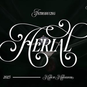 AERIAL Serif Font - Modern Font, Boho Font, Swash Font, Fonts for Cricut, Cricut Fonts, Logo Font, Canva Fonts, Font with Tails