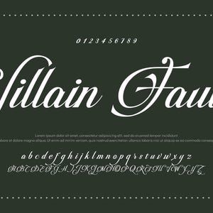 Modern Calligraphy, Handwritten Script, Wedding Font, Branding Font, Packaging Font, Luxury Font, Cricut Font, Digital Font, Logo Font