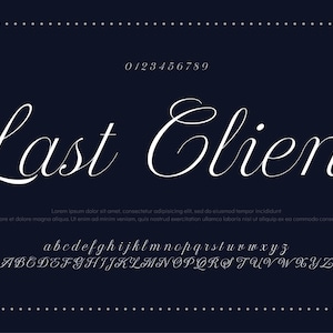 Handgezeichnetes Vektor-Alphabet. Moderne Monoline-Signaturschrift. Beste Alphabet Schöne Kalligraphie Signatur Schriftart