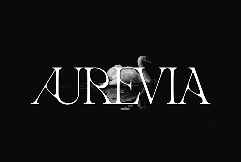 Modern Serif Font Bundle, Logo Fonts, Wedding Fonts, Luxe Fonts ...