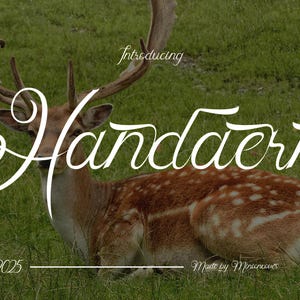 Signature Font, Handwritting font, cursive font, wedding font, invitation font, beautiful font, chic font, procreate font, canva font, fonts