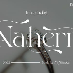 Nahern Font - Serif Font, Modern Font, Cricut Font, Procreate Fonts, Boho Font, Retro Font, Swash Font, Logo Font, Canva Font, Swoop Font