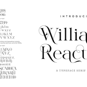 May include: A typeface serif font called "Williams Reaction" with a decorative script style. The font is shown in both uppercase and lowercase letters, as well as numbers.