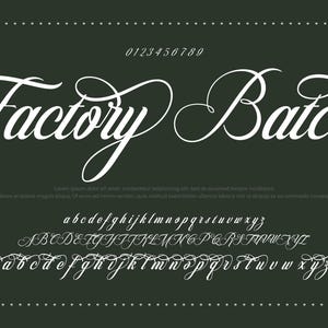 Signature font, Modern font, Calligraphy font, Handwritten font, Script font, Wedding font, Cursive font, Font for logo, Procreate font
