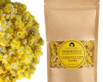 Immortelle (Helichrysum Pallasii) 2 OZ (57g) Dried Flowers with Short Stems, Loose Herbal Tea | Wild-Harvested from Armenia