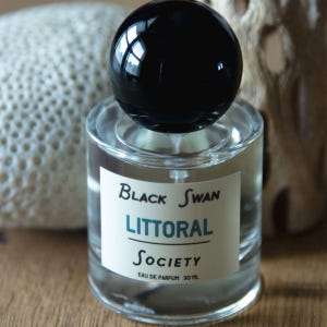 LITTORAL Eau de Parfum 30ml | beach witch - aquatic scent - summer perfume - seaweed scent - goth girly - mermaid perfume - bergamot