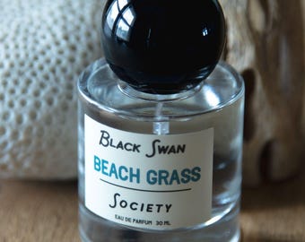 BEACH GRASS Eau de Parfum | 30ml Green Coastal Perfume - Cedar, Pine & Hay Scent