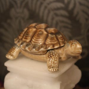 May include: A ceramic turtle ornament with a detailed, textured shell in shades of brown and tan. The turtle is perched on a white, rectangular base. The figurine has four legs and a head with a detailed face.