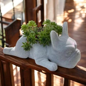 以下が含まれることがあります： 緑色の多肉植物で満たされた、薄い灰色のフレンチブルドッグ型のプランター。セラミックプランターは木製の手すりに置かれています。犬の耳は立っており、多肉植物がプランターから溢れています。
