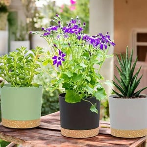 Set of 2 | 4.7|Inch Indoor Flower Pots with Drainage Holes | Removable Base |Modern Plant Pots for Home & Garden