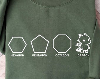 Sudadera con formas divertidas, sudadera con juego de palabras de dragones, sudadera con chiste divertido de profesor de matemáticas, sudadera de física, sudadera divertida de matemáticas
