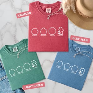 Funny Shapes Shirt, Dragon Pun Shirt, Funny Math Teacher Joke Tees, Physics Shirt, Funny Math Tshirt : Comfort Colors Cotton Tee