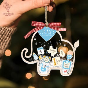 Baby&#39;s First Christmas Shaker Ornament 2025, Baby 1st Christmas Ornament, Custom New Baby Gift, 4D Shake Babies Ornament, Baby Keepsake