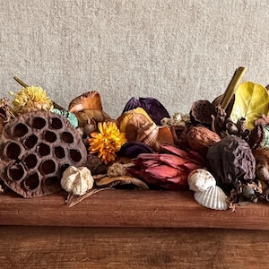 Tropical Potpourri (10 oz), Bowl Fillers, Coastal Decor