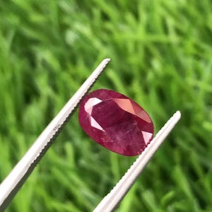 May include: An oval-cut, deep red ruby gemstone with faceted surfaces that reflect light. The gemstone is held securely by a pair of silver-toned metal tweezers, showcasing its translucent quality and rich, saturated crimson color throughout.