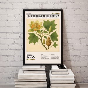 Tulip Tree Botanical Print, Liriodendron Tulipifera Poster, Vintage Wall Art of Family Harmony