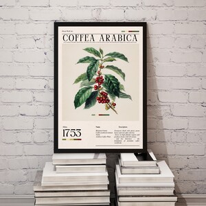 Impresión botánica de café arábigo, arte mural vintage de planta de café, decoración de cocina, póster de regalo para amantes del café