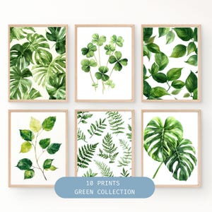 Grünes botanisches Kunstdruck-Set, Aquarellblätter, Wandbild Tropische Pflanze, Natur Wohnkultur, minimalistische Pflanzenkunst