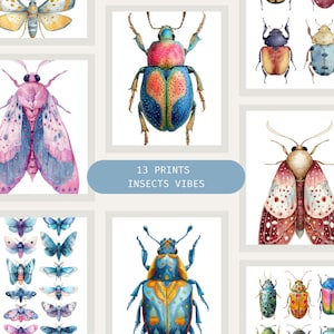 Insect Wall Art Printable Set – 13 Digital Prints with Beetles and Moths, Boho Bug Decor