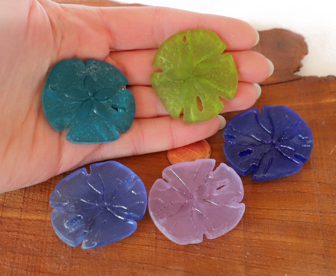 1 / 2 Pcs 40mm Lime Teal Blue Periwinkle Sand Dollar Textured Sea Beach ...