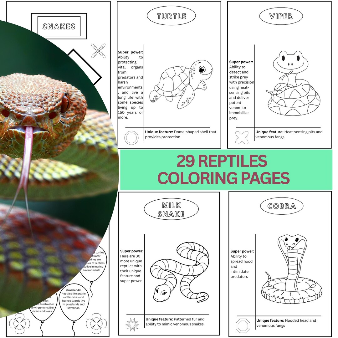 Reptiles Animals Coloring Book: Educational Animal Pages for Kids (PDF ...