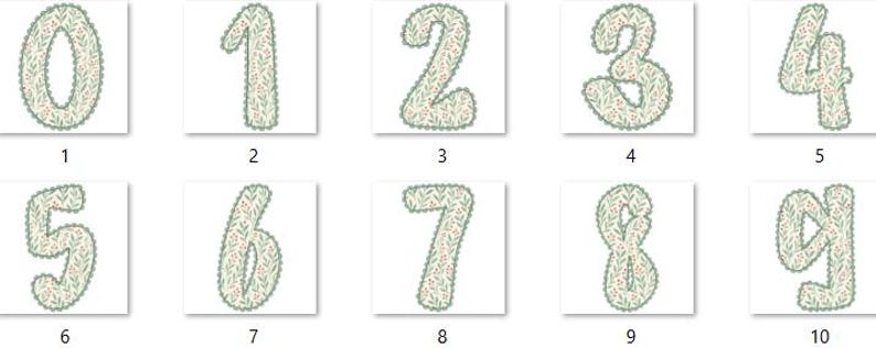 Pode incluir: Uma cole&ccedil;&atilde;o de dez n&uacute;meros, de zero a nove, cada um em uma moldura quadrada. Os n&uacute;meros s&atilde;o bege com um padr&atilde;o floral verde e rosa e uma borda verde ondulada. Ideal para artesanato ou decora&ccedil;&atilde;o.