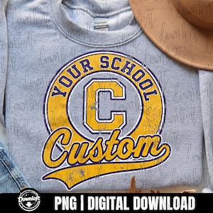 Custom Distressed Retro School Mascot Spirit Png, Custom School Spirit Png, Personalized Team Name Shirt Graphic, Digital Download