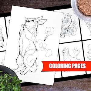 May include: Black and white coloring pages featuring a rabbit, a bird, a dog, and other animals. The pages are labeled "Coloring Pages".