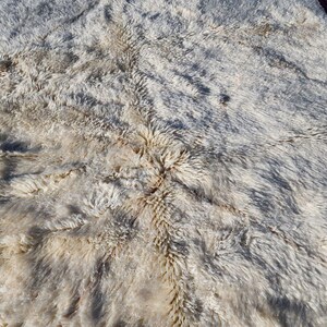 May include: Close-up of a textured, off-white rug with a shaggy, fur-like appearance. The rug has a mix of light and dark areas, with a central pattern of darker brown tones. The rug's texture suggests a soft, comfortable feel.