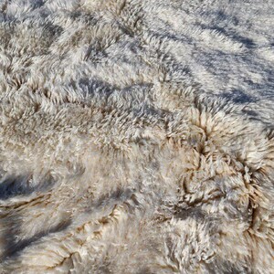 May include: Close-up of a textured, off-white rug with long, shaggy fibers. The rug has areas of light and shadow, creating a soft, natural look. The fibers are thick and appear to be made of wool.