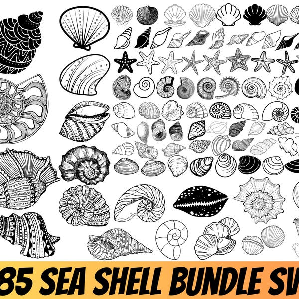 Sea Shell Svg - Etsy