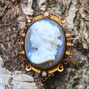 French Victorian Antique Hard Stone Cameo in Elegant Enameled Mounting, 1870s