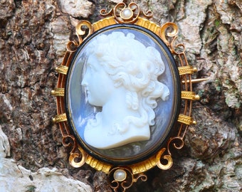 May include: A gold cameo brooch with a white cameo of a woman's profile. The cameo is set in a black oval frame with a gold filigree design. The brooch is adorned with small white pearls.