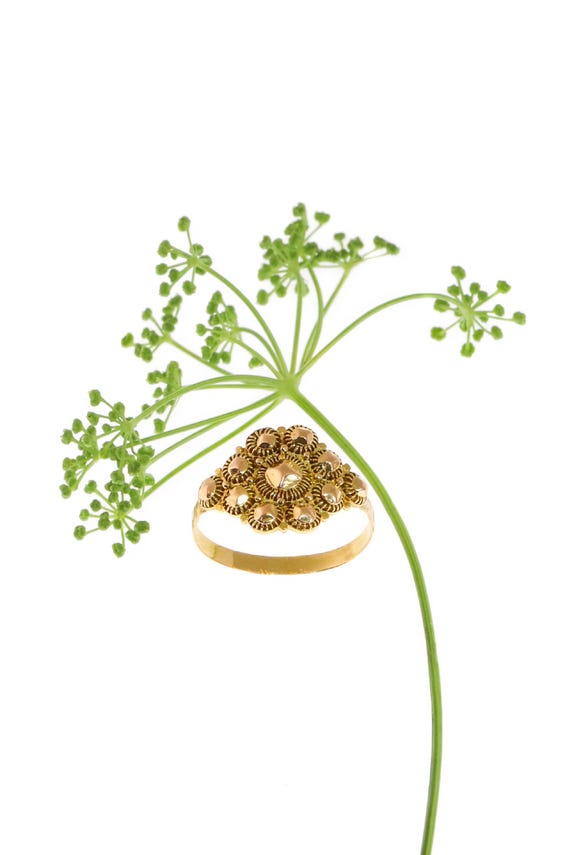 Eternal Elegance: Holland's Historic Gold Ring