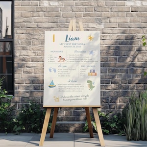 Panneau en bois représentant les jalons de bébé, affiche Ma première année, jalons du mois garçon, panneaux de baptême, panneau de bienvenue pour fête d'anniversaire, impressions chambre de bébé garçon