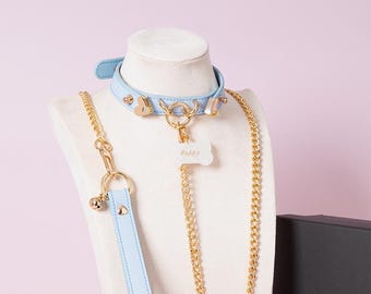 Blue and Gold Puppy Collar Leash Set with Tag - Pet Play Choker