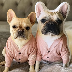 Custom Pet Photo Pillow: 3D Dog/Cat Plush Memorial Gift