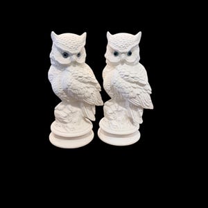 May include: Two white owl figurines with blue eyes. The owls are perched on decorative bases and have detailed feather textures. The background is solid black, highlighting the sculptures.