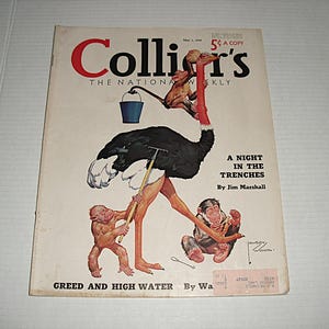 Colliers Magazine - Etsy
